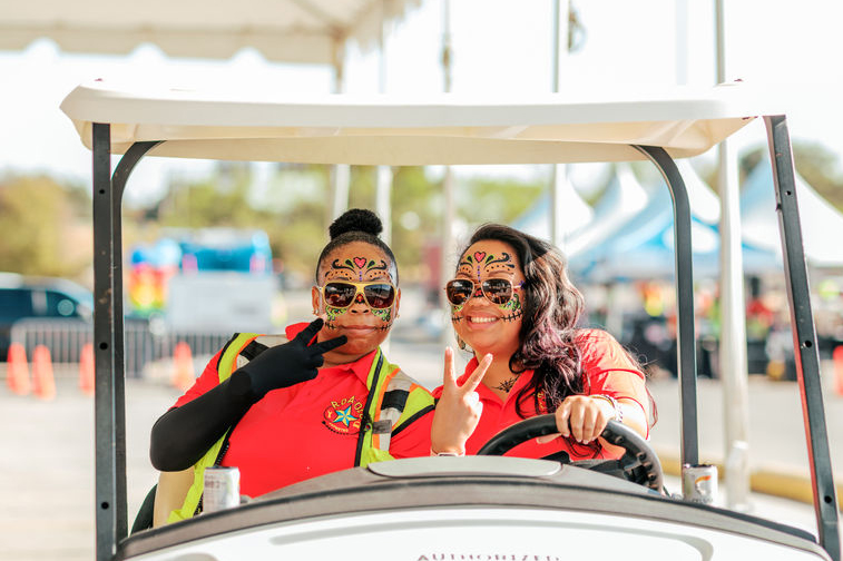 roadeo-cart