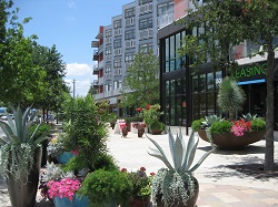 neighborhood-tod-2